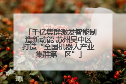 千亿集群激发智能制造新动能 苏州吴中区打造“全国机器人产业集群第一区”
