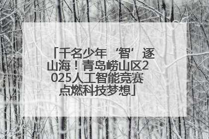 千名少年‘智’逐山海！青岛崂山区2025人工智能竞赛点燃科技梦想