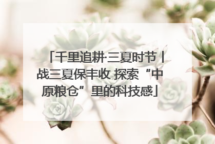 千里追耕·三夏时节丨战三夏保丰收 探索“中原粮仓”里的科技感