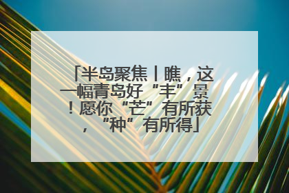 半岛聚焦丨瞧，这一幅青岛好“丰”景！愿你“芒”有所获，“种”有所得