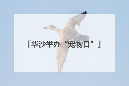 华沙举办“宠物日”