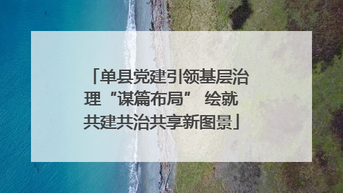 单县党建引领基层治理“谋篇布局” 绘就共建共治共享新图景