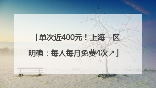 单次近400元！上海一区明确：每人每月免费4次↗