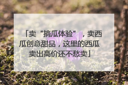 卖“摘瓜体验”，卖西瓜创意甜品，这里的西瓜卖出高价还不愁卖