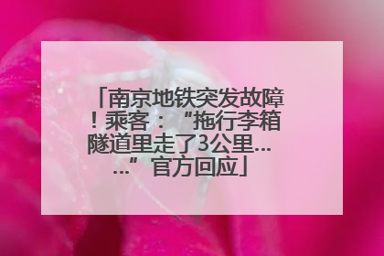 南京地铁突发故障！乘客：“拖行李箱隧道里走了3公里……”官方回应