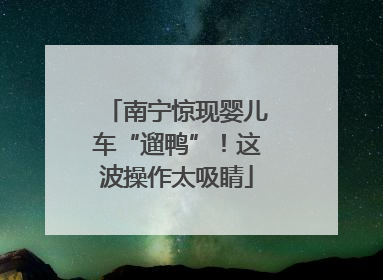 南宁惊现婴儿车“遛鸭”！这波操作太吸睛