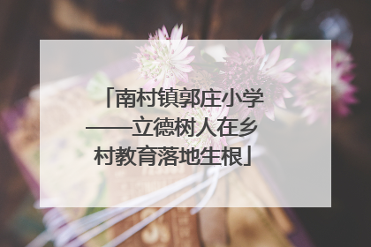 南村镇郭庄小学——立德树人在乡村教育落地生根