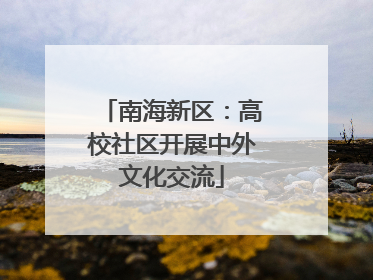 南海新区：高校社区开展中外文化交流