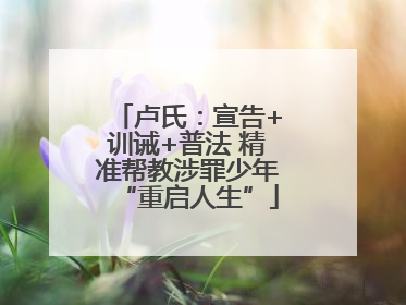 卢氏：宣告+训诫+普法 精准帮教涉罪少年“重启人生”
