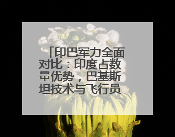 印巴军力全面对比：印度占数量优势，巴基斯坦技术与飞行员素质更强