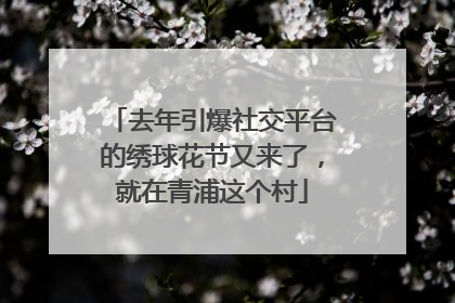 去年引爆社交平台的绣球花节又来了，就在青浦这个村