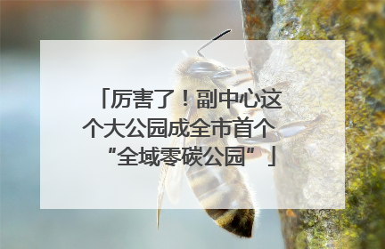 厉害了！副中心这个大公园成全市首个“全域零碳公园”