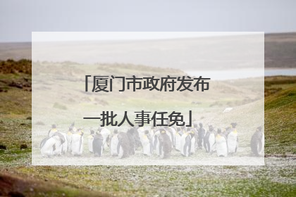 厦门市政府发布一批人事任免