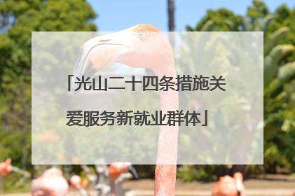光山二十四条措施关爱服务新就业群体