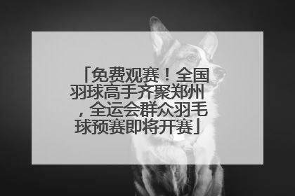 免费观赛！全国羽球高手齐聚郑州，全运会群众羽毛球预赛即将开赛