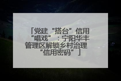 党建“搭台”信用“唱戏”：宁阳华丰管理区解锁乡村治理“信用密码”