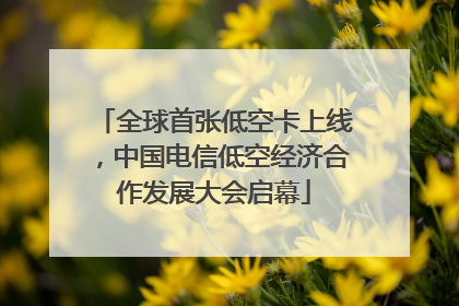 全球首张低空卡上线，中国电信低空经济合作发展大会启幕