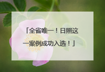 全省唯一！日照这一案例成功入选！