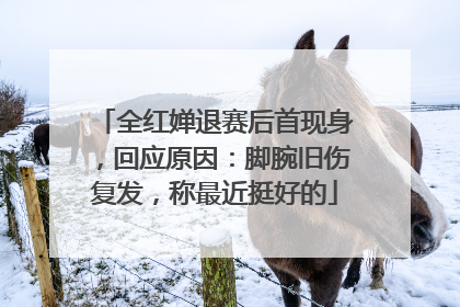 全红婵退赛后首现身，回应原因：脚腕旧伤复发，称最近挺好的