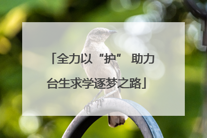 全力以“护” 助力台生求学逐梦之路