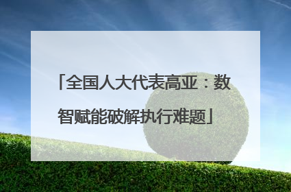 全国人大代表高亚：数智赋能破解执行难题
