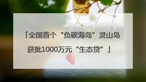 全国首个“负碳海岛”灵山岛获批1000万元“生态贷”