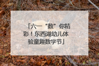 六一“数”你精彩！东西湖幼儿体验童趣数学节