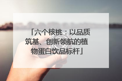 六个核桃：以品质筑基、创新领航的植物蛋白饮品标杆