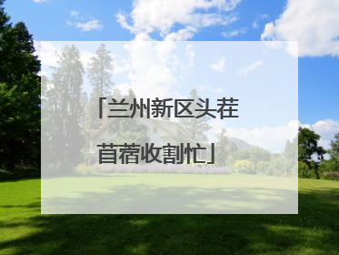 兰州新区头茬苜蓿收割忙