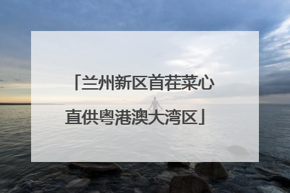 兰州新区首茬菜心直供粤港澳大湾区