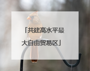共建高水平最大自由贸易区