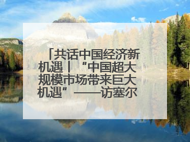 共话中国经济新机遇丨“中国超大规模市场带来巨大机遇”——访塞尔维亚经济部国务秘书尼科利奇