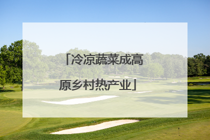 冷凉蔬菜成高原乡村热产业