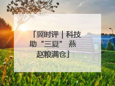 冀时评｜科技助“三夏” 燕赵粮满仓