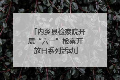 内乡县检察院开展“六一”检察开放日系列活动