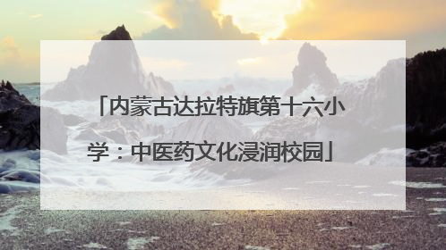 内蒙古达拉特旗第十六小学：中医药文化浸润校园