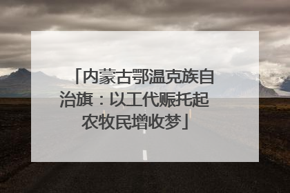 内蒙古鄂温克族自治旗：以工代赈托起农牧民增收梦