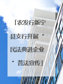 农发行新宁县支行开展“民法典进企业”普法宣传