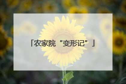 农家院“变形记”