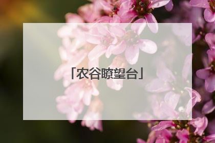 农谷瞭望台