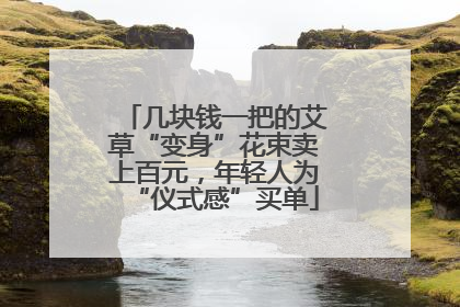 几块钱一把的艾草“变身”花束卖上百元，年轻人为“仪式感”买单
