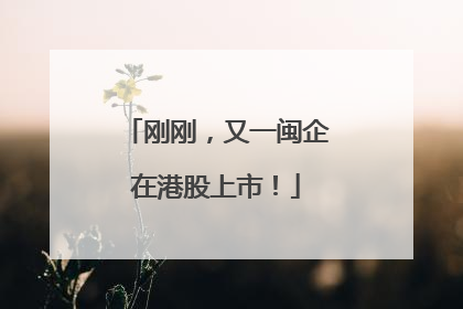 刚刚，又一闽企在港股上市！