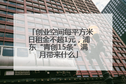 创业空间每平方米日租金不超1元，浦东“青创15条”满月带来什么