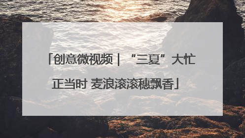 创意微视频｜“三夏”大忙正当时 麦浪滚滚穗飘香