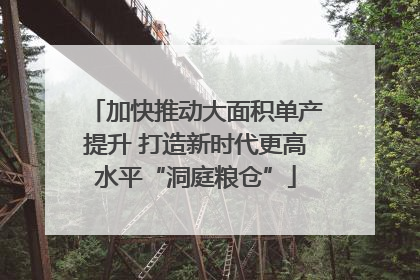 加快推动大面积单产提升 打造新时代更高水平“洞庭粮仓”