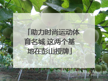 助力时尚运动体育名城 这两个基地在彭山授牌