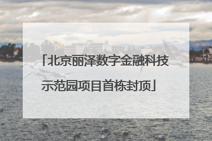 北京丽泽数字金融科技示范园项目首栋封顶