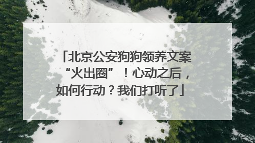 北京公安狗狗领养文案“火出圈”！心动之后，如何行动？我们打听了