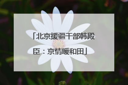 北京援疆干部韩殿臣：京情暖和田