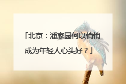 北京：潘家园何以悄悄成为年轻人心头好？